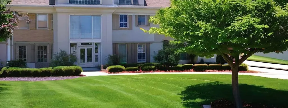 Striped residential lawn with shade trees and trimmed hedges