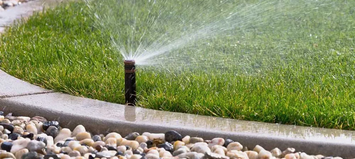 Pop-up sprinkler watering a lawn beside a stone border